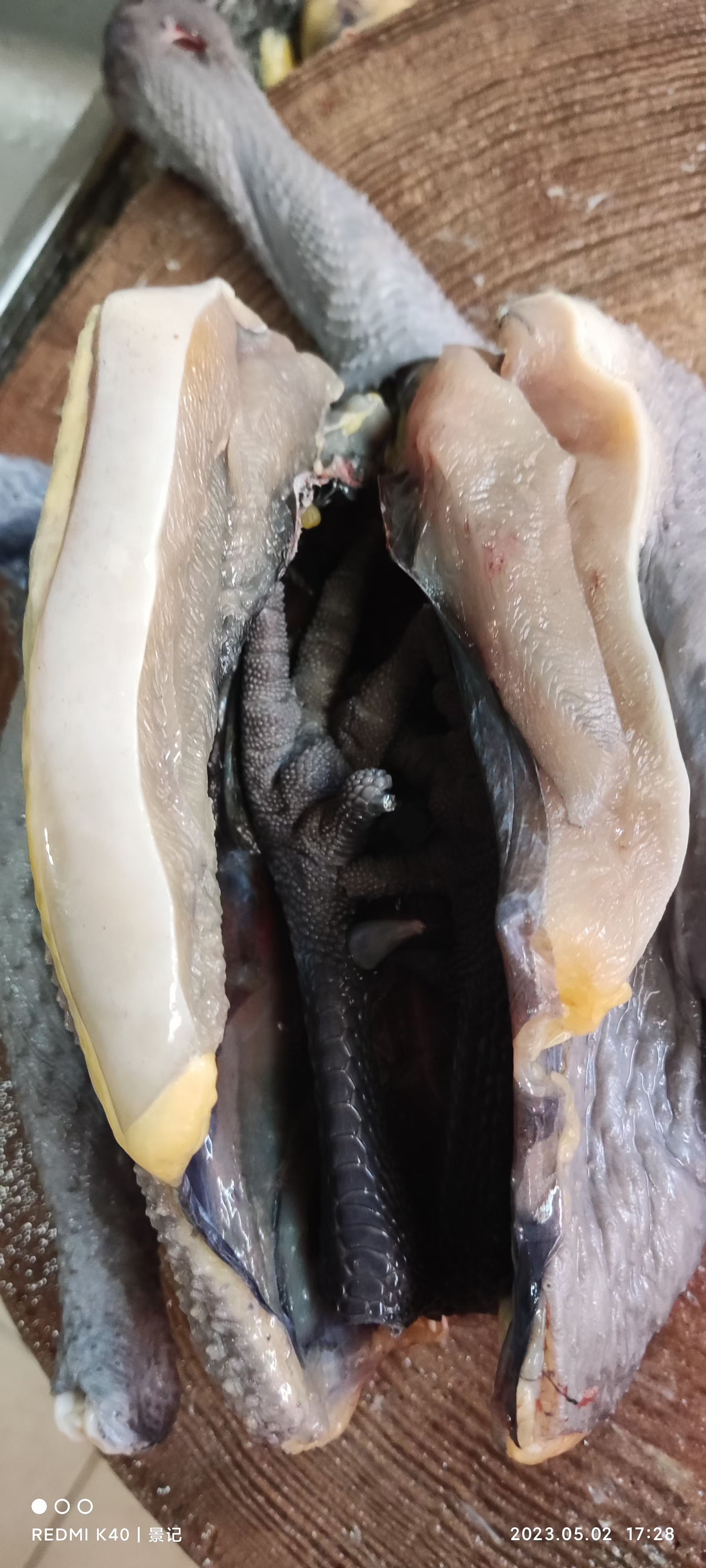 乌鸡出售，养殖时间330日龄，3至4斤品质保证