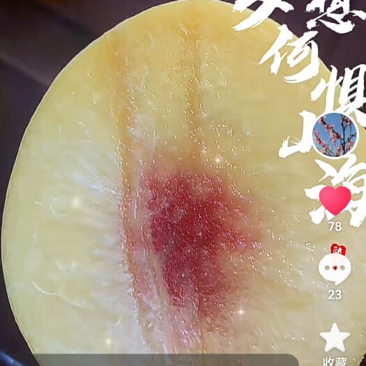 吉水县锦绣黄桃