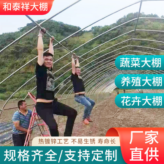 无锡湖南建设种植蔬菜育苗水果大棚骨架批发定制尺寸可定制