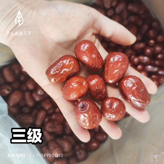 新疆3级干枣