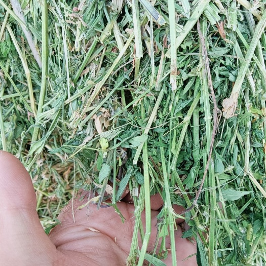 察布查尔蛋白20左右，fv170以上
