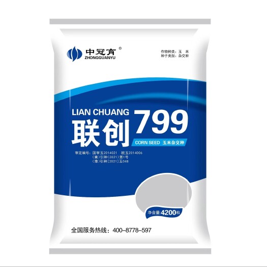 【国审联创799白轴大穗】东南春播黄淮夏播穗大抗倒产量高