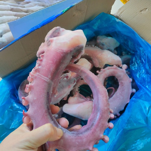 北海单冻大规格章鱼足 八爪足