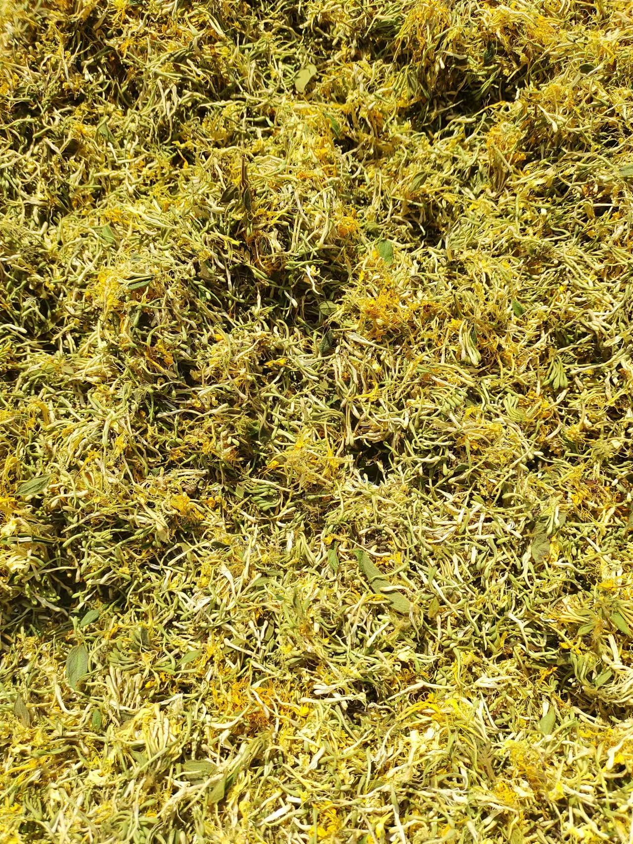 金银花干无硫无激素中药材农家山银花茶洗澡婴儿金银花茶散装