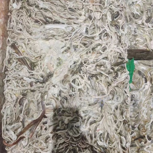莘县鸭黑肠