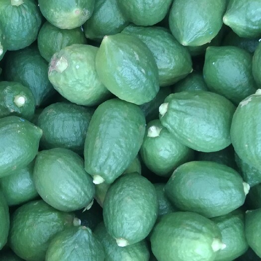南宁香水柠檬