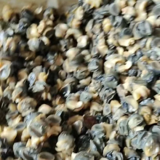 乐平市手工田螺肉，新鲜，干净