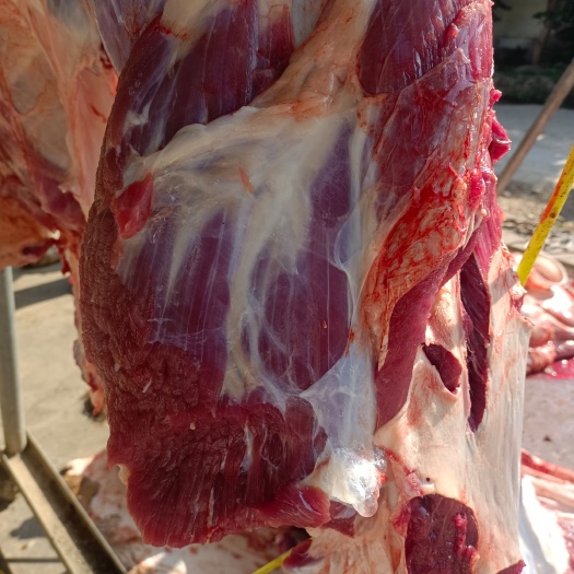 鲜肉