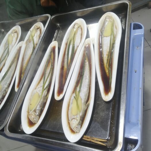 苏州刀鱼