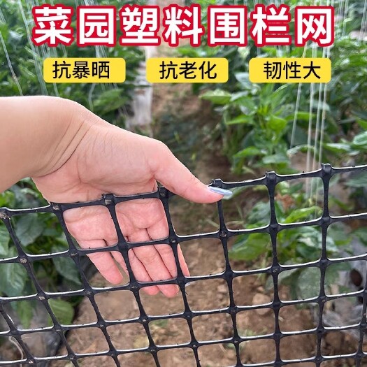 佛山10年用不坏家用菜园栅栏专用塑料围栏网抗晒护栏塑料网