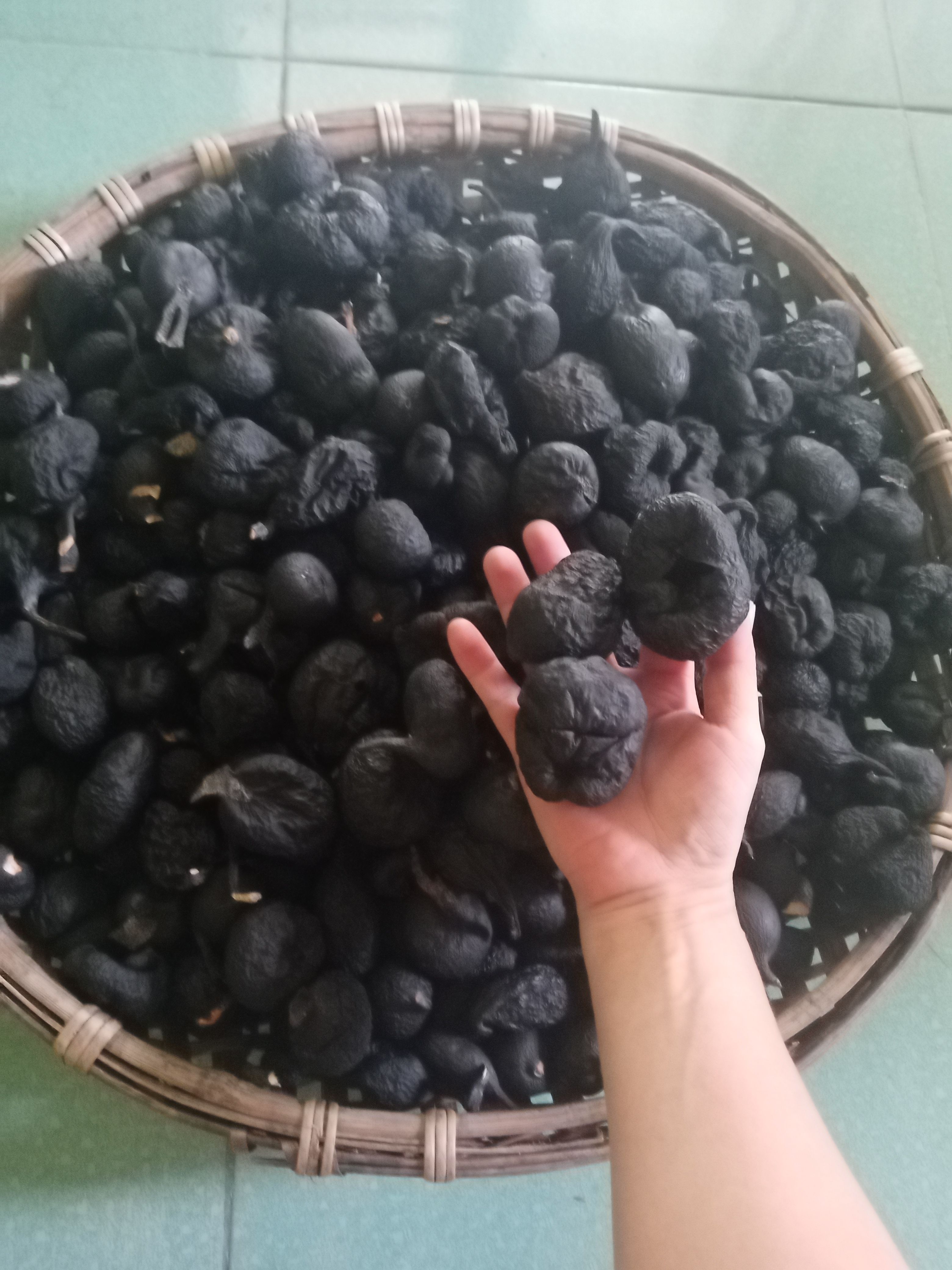 纯乌灵参地乌金干品，精选货，全实心，全纯黑，香味浓郁