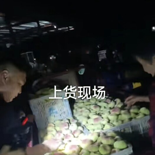 蒙阴县陆地蟠桃