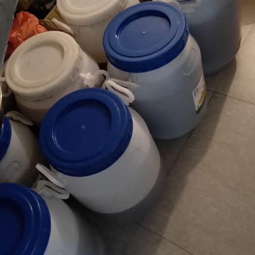 广州各种土蜂蜜，有荔枝蜜，百花蜜，鸭脚木冬蜜，芦荟蜜