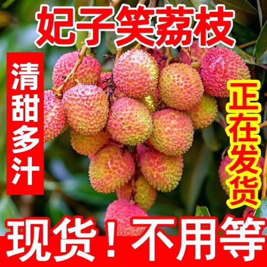 整箱6斤广西灵山妃子笑荔枝口感香甜 果园现摘现发 新鲜荔枝当