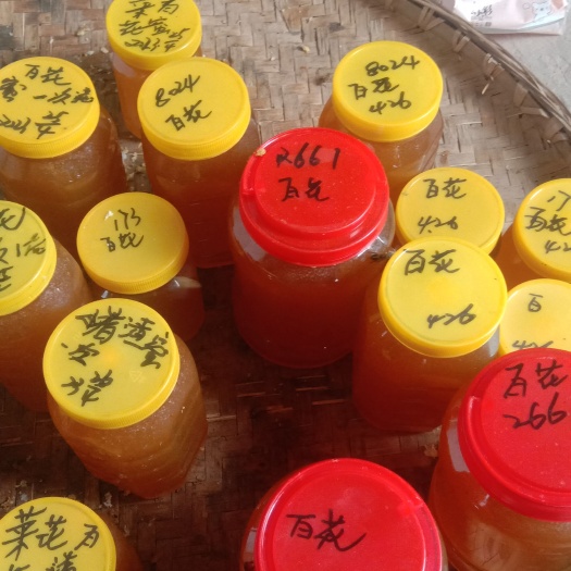 安岳县中蜂百花蜜，浓度高，假一培十