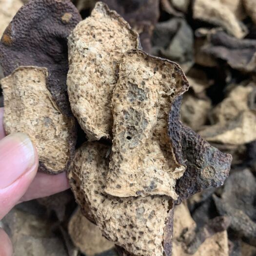 江门药材用泡茶用2003天马冬后大红皮真实年份干仓存放