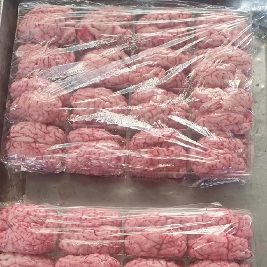 河间市鲜冻羊对脑，质量杠杠滴，需要的老板排单