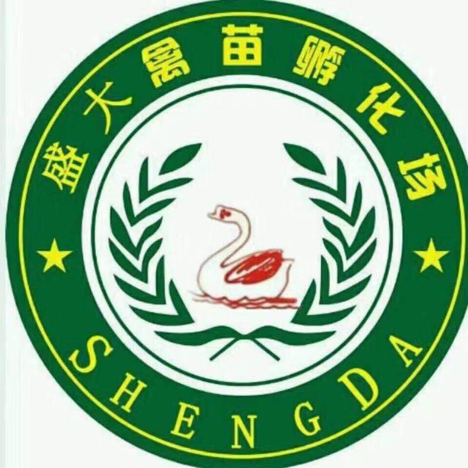 劉夏德的店