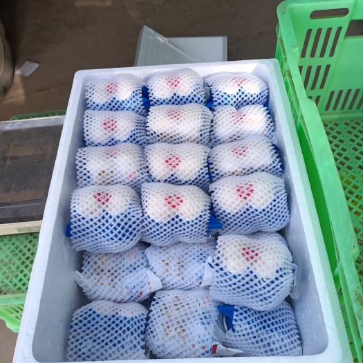 鲜百合  兰州食用百合