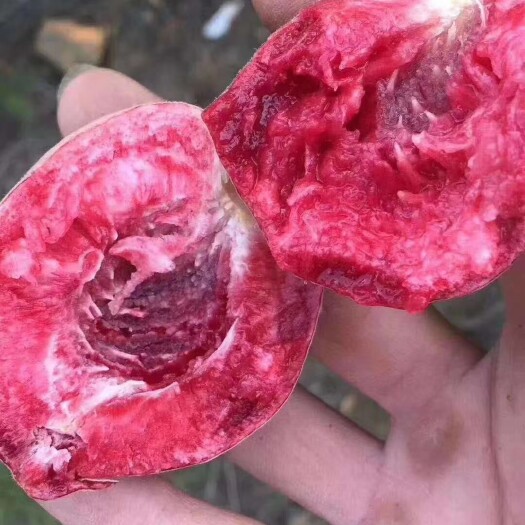 鲁山县鲁山血桃，口感非常好