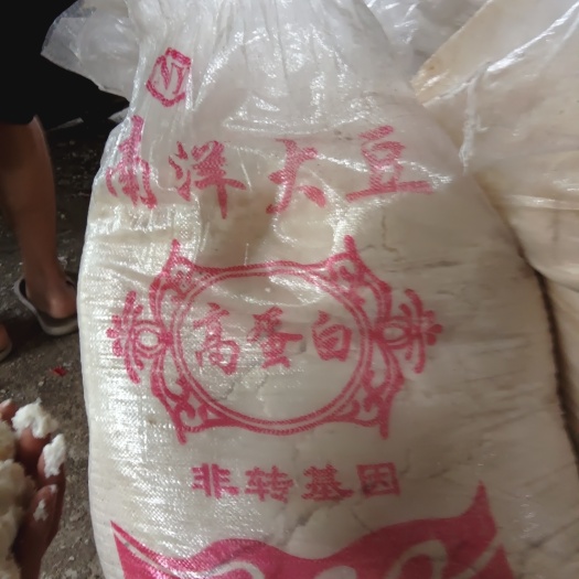 上林县纯豆渣540元一吨    发酵豆渣680