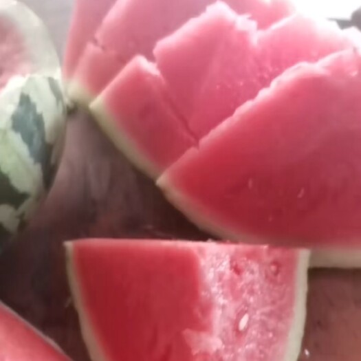 东台市美都无籽西瓜