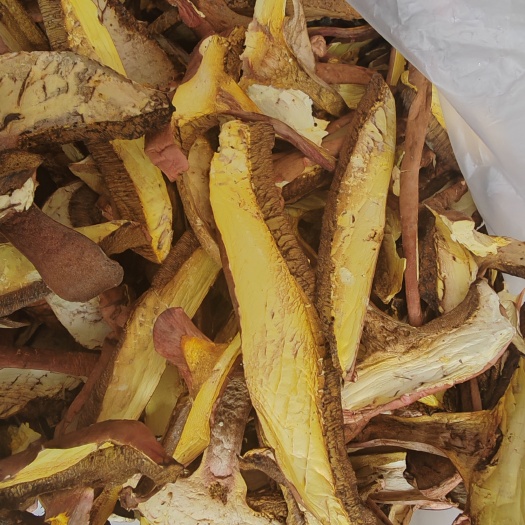 楚雄市红葱菌干货，葱菌干货，云南野生菌1斤包邮