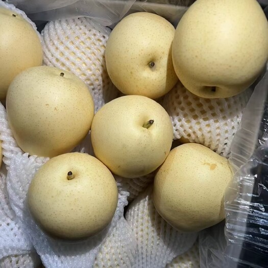 博野县河北黄冠梨