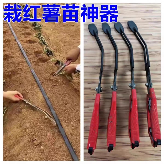 栽红薯苗器插秧栽苗器农用工具