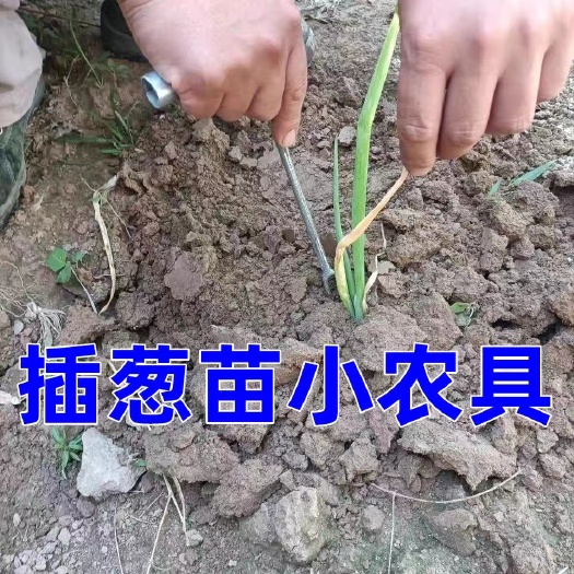 上海栽蔥器栽蔥專用農(nóng)具大蔥插苗器栽苗器