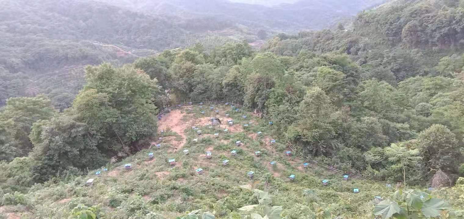 小強(qiáng)哥的蜂蜜店