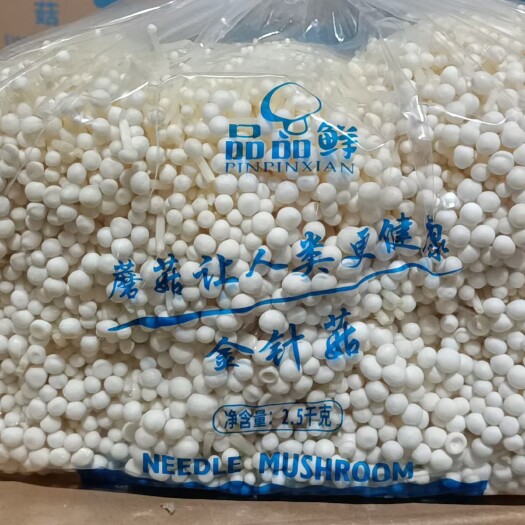 寿光市新鲜金针菇