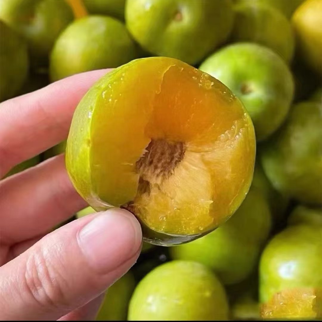 [蜂糖李批发]贵州六马蜂糖李价格20元/斤 - 惠农网