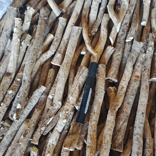 忻州高品质黄芪白条 新鲜采挖