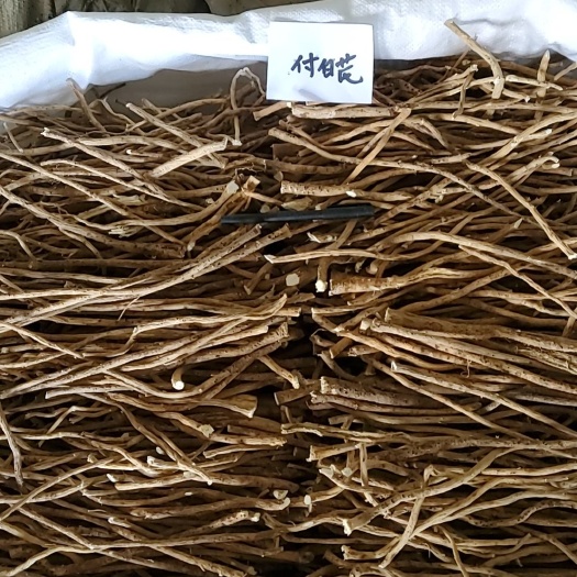 忻州付白芪