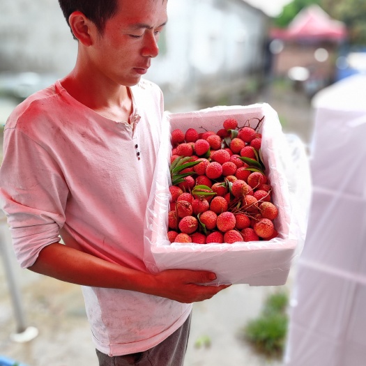 惠州镇隆糯米糍荔枝