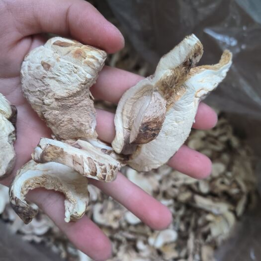 武汉香菇片发大货批发