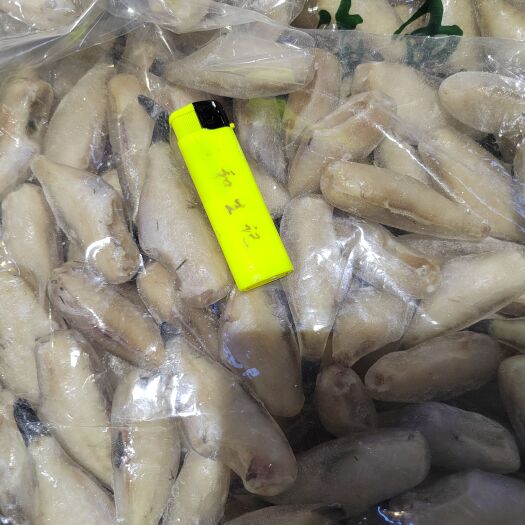 重庆市蓝尾干冰41/50耗儿鱼去箱12斤，270条左右