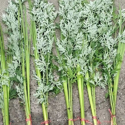 峨边县菖蒲 艾草端午节用品批发1元一套