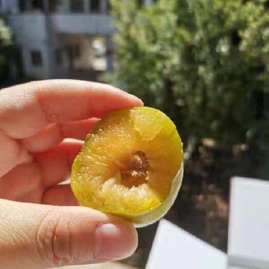 南城县江西水安里