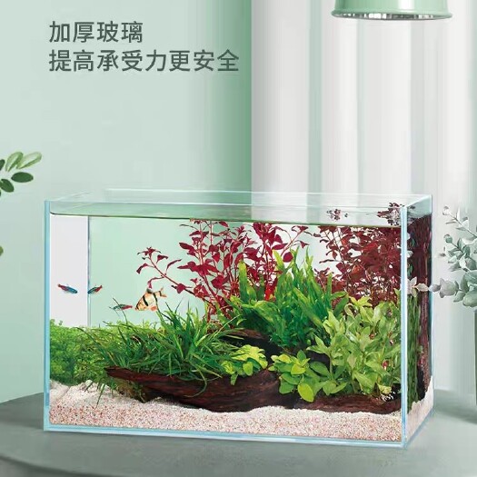 上海yee超白鱼缸玻璃桌面客厅生态鱼缸