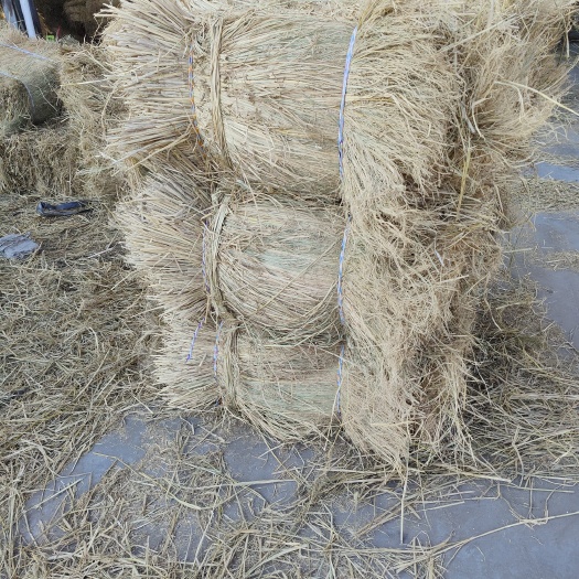 盐城580米装车价，蘑菇草筛选下来的草，分类做好行业的细化问题，