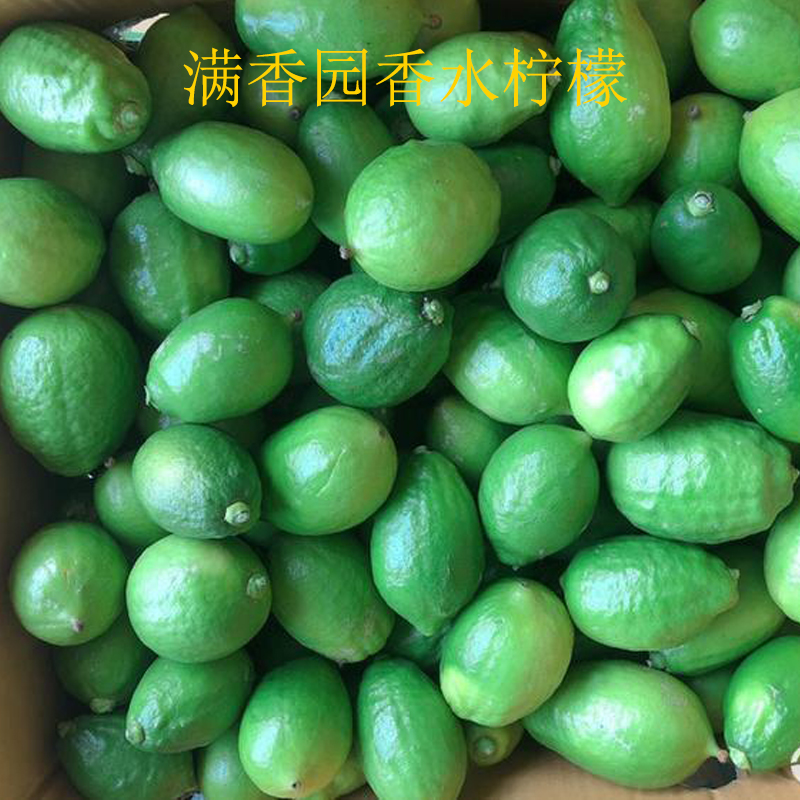 滿香園香水檸檬