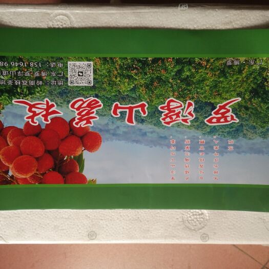 博罗县罗浮山桂味荔枝