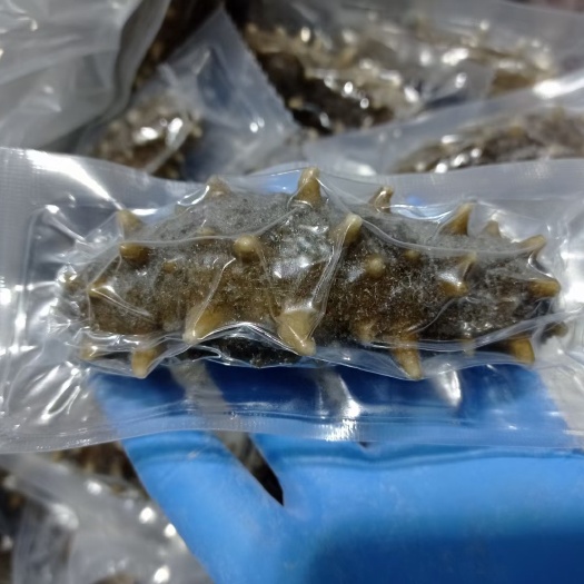 南宁5A熟化即食海参