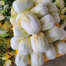 定西莴笋，西兰花，甘蓝，散花。