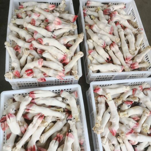 郓城县育肥齐口羊蹄，纯干不抽筋，厂家批发，保质保量。