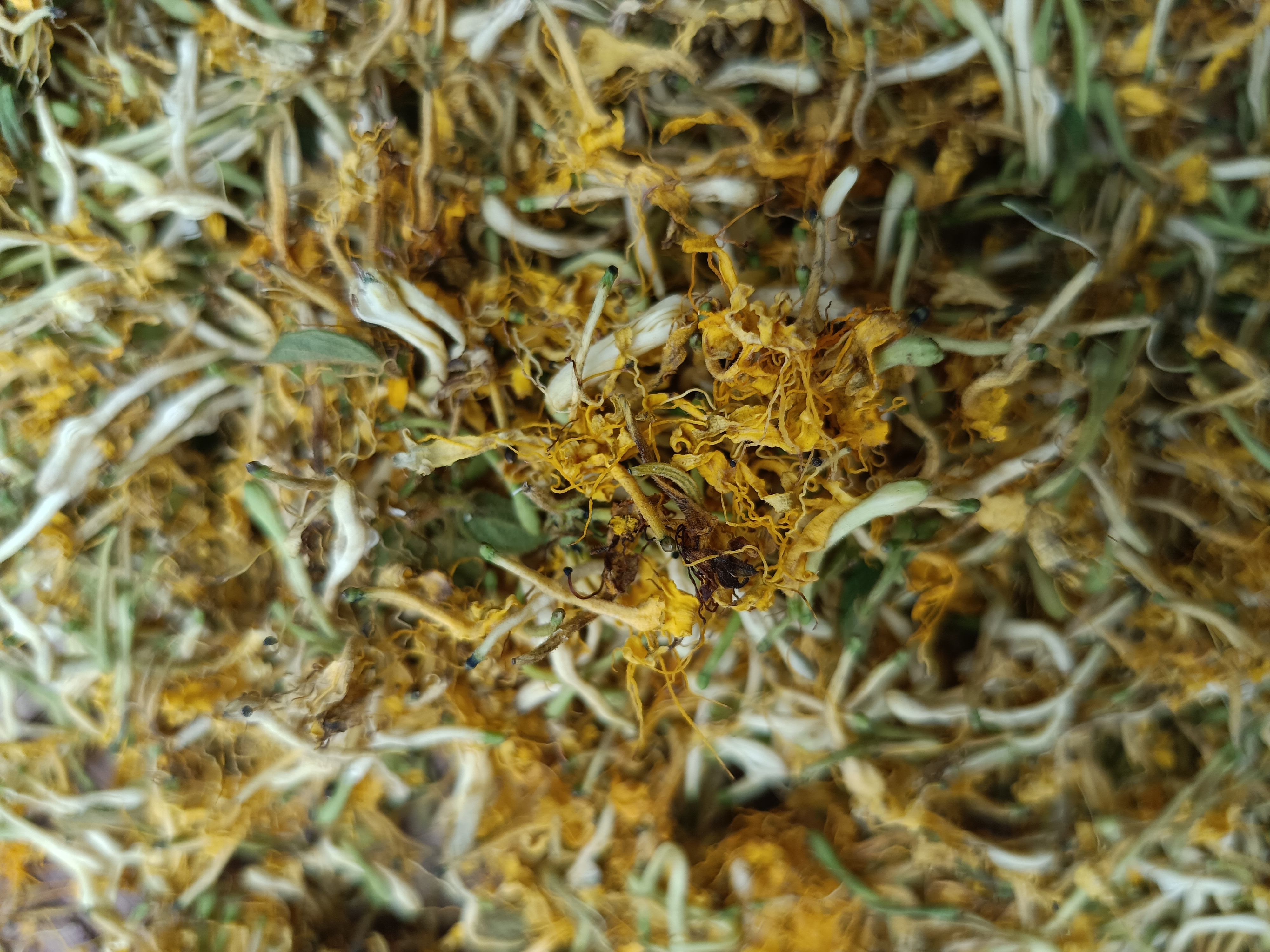 韋照華的店