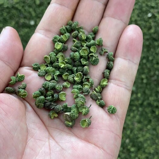 惠水县九叶青花椒