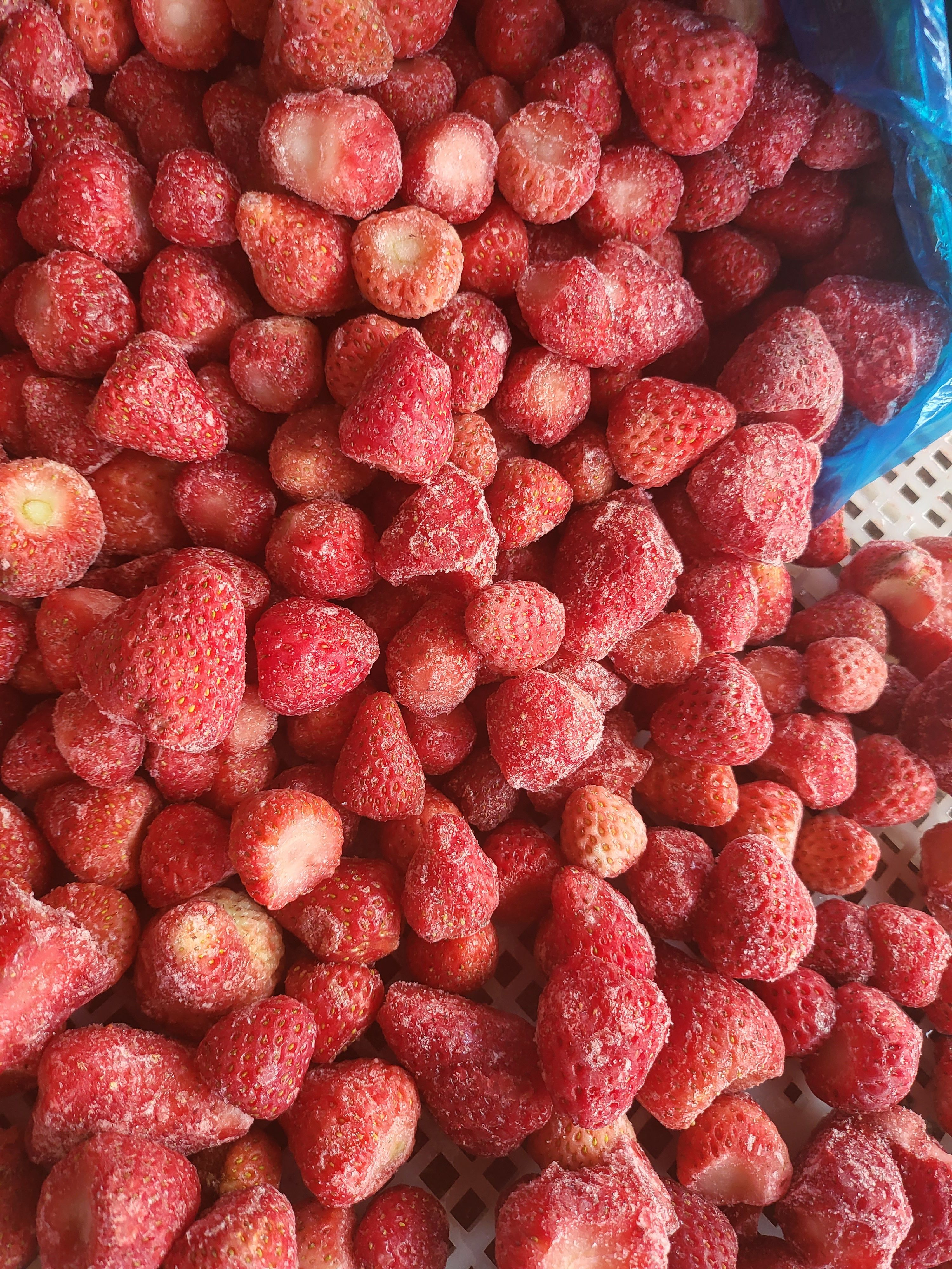 2023新季节速冻草莓